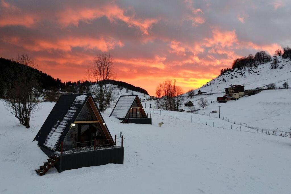 Roia Chalet Fundata 1 Zewnętrze zdjęcie